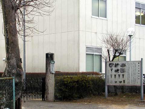 勴